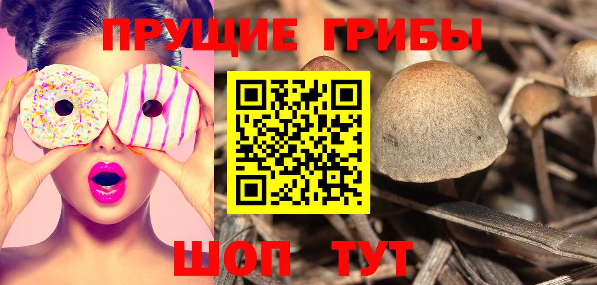 Псилоцибиновые грибы MAGIC MUSHROOMS  Вход с VPN  Тимашёвск 