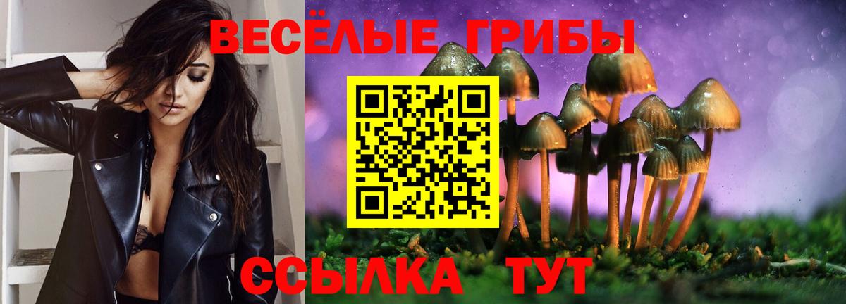 Псилоцибиновые грибы мицелий Тимашёвск